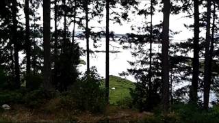 Living Forest Oceanside Campground amp RV Park  Nanaimo BC  Review [upl. by Althee]