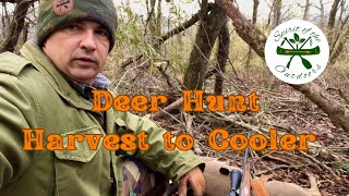 Deer Hunt Harvest to Cooler [upl. by Yetak]