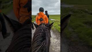 Great ride at Eldhestar shorts iceland icelandichorse horseriding [upl. by Asaret423]