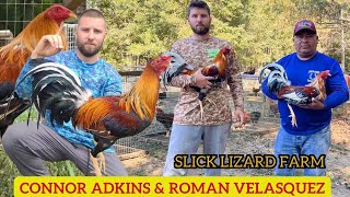 ALABAMA ‼️💯Connor Adkins amp Roman Velasquez Show Beautiful Birds [upl. by Steep422]