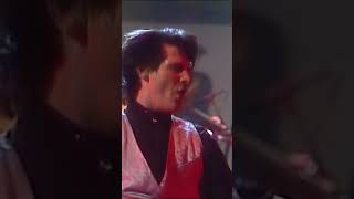 Spandau Ballet  Nature Of The Beast Rockpop In Concert 1984 spandauballet rockpopinconcert [upl. by Yeleek513]