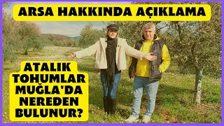 Muğlada Atalık Tohumlar Nereden BulunurMuğlaya GöçŞehirden Köye Göç Köy HayatıKöyde Yaşamak [upl. by Ytirehc]