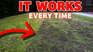 The secret to a thick lawn starts here  Beginner lawn care tricks [upl. by Elish]