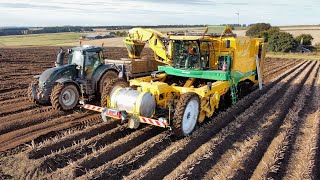 Tatties 2024  Brand New Oxbo 4 Row Harvester [upl. by Allegra]