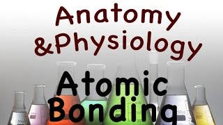 Chemistry For Anatomy and Physiology  Atomic Bonding 0203 [upl. by Llorrac]