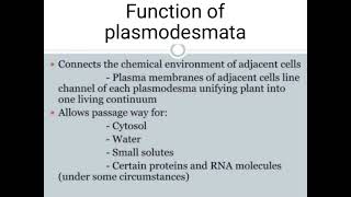 Functions and Structure of Plasmodesmata [upl. by Fonsie]