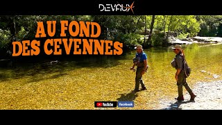 AU FOND DES CEVENNES  Mouches Devaux [upl. by Sundberg]