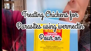 Ivermectin pour on for chickens Treats mites lice and intestinal parasites [upl. by Vic]