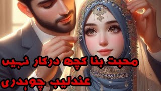 After Marriage Romantic Novel Mohabbat Bina Kuch Darkar Nahi Andleeb Chaudhry NOVELSLAND urdu [upl. by Reifinnej]