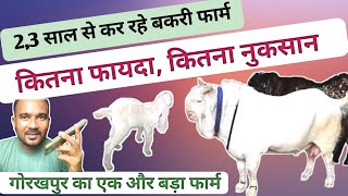 Bakri Palan Profit Chahiye To 5 Sal Ka Samay DoVimalumrao [upl. by Mulloy]