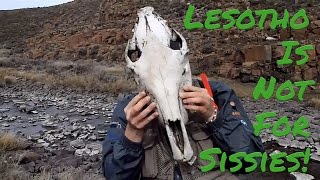 Fly Fishing Lesotho [upl. by Marlow331]