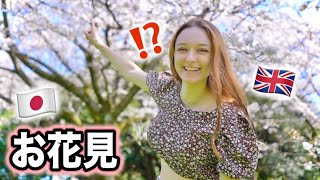 Spring Has Sprung In Tokyo Japan Japanese Favourite Pastime Sakura Hanami Picnic Date VLOG [upl. by Malamut867]