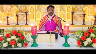 Holy Mass November 28 Tuesday I 530 AM I Malayalam I Syro Malabar I Fr Bineesh Augustine [upl. by Linus]