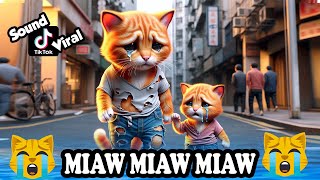 Miaw miaw miaw miaw Song sad story Father and Kitten FULL😭 cat aicat catlover cats [upl. by Carrick385]