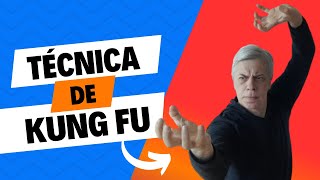 Técnica de Kung Fu 3 Garras de Tigre [upl. by Torhert564]