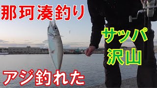 121 那珂湊釣り アジ、サッパ [upl. by Milks433]