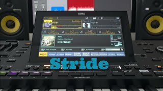 Korg Pa5x  Stride  Jazz Category  Style Element  OS V 130 new sound [upl. by Sabba]