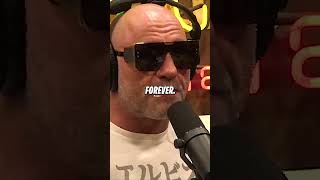 Joe Rogan Reacts to Celebrities AGAINST Donald Trump joeroganexperience joerogan donaldtrump [upl. by Youlton]