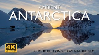 Ambient Antarctica 4K  2hour relaxing slow nature film [upl. by Esiom]