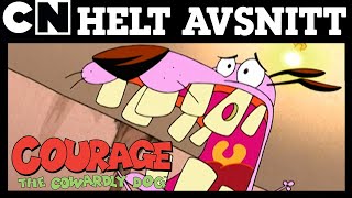 Kurage den hariga hunden  Natt på Katz Motell  HELT AVSNITT  🇸🇪 Svenska Cartoon Network [upl. by Ailisec915]