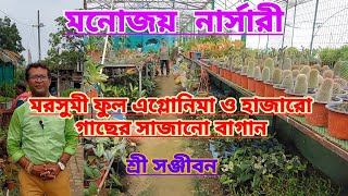 মরসুমি ফুল ও হাজারও গাছের সাজানো মঞ্জয় নার্সারি ঘুরে দেখাMonjoy Nursery TourShree Sanjiban [upl. by Ariem902]