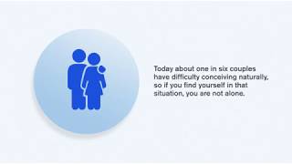 What is IVF All the way from egg collection to embryo transfer and freezing [upl. by Cung]