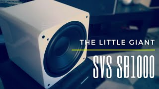 SVS SB1000 Review  The Little Giant [upl. by Neeka398]