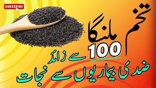 Tukham Malanga  Benefits amp How to Use Basil Seeds [upl. by Barabbas]