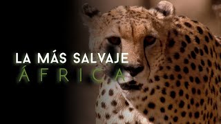 África más salvaje  Zambezi aguas salvajes [upl. by Enrico768]