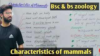 Characteristics evolution and diversity of mammals class bsc and bs zoology [upl. by Allenod]