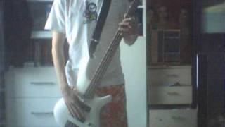 Korn  Shoots and Ladders Bass cover [upl. by Sane997]