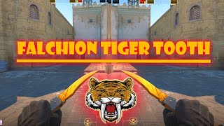 Falchion knife tiger tooth skin showcase [upl. by Nevad635]