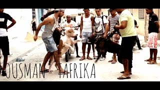 Ousman  Tafrika Official Video [upl. by Tnerb468]