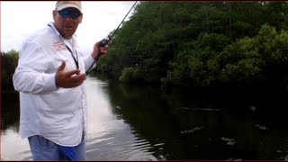 Bass Fishing Deep in the Florida Everglades surrounded by Alligators [upl. by Atworth]