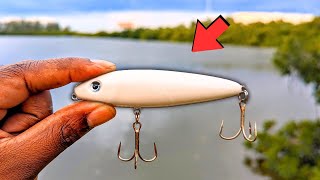 Snook Fishing Florida Boat Ramps With This Classic Lure [upl. by Cesaro473]