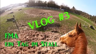 Vlog FMA  Ein Tag mit uns im Stall [upl. by Bates758]