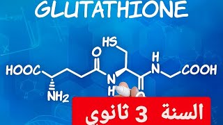 مرض فقر الدم الانحلاليموت الخلايا المبرمج السنة 3 ثانوي [upl. by Bernard]