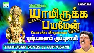 யாமிருக்க பயமேன்  தைப்பூசம் முருகன் பாடல்  புஷ்பவனம் குப்புசாமி  Murugan devotional Songs [upl. by Htiduj131]