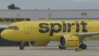 South Florida passengers react to Spirit Airlines filing for bankruptcy [upl. by Archy329]