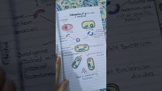 😯Cell division class 9th diagram easy drawing education art [upl. by Dianthe]