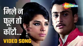 Mile Na Phool To  Parikshit Sahani  Zaheeda Hussain  Anokhi Raat  Bollywood Songs  Mohd Rafi [upl. by Michal]