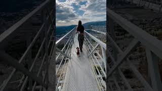 Exploring Mostar with a Dachshund Fortica Bridge Views [upl. by Siramad]