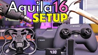 Complete Setup of Aquila16 RTF  Must Watch Before your 1st Flight [upl. by Meerak417]