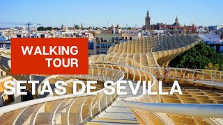 Setas de Sevilla quotMushrooms of Sevillequot Tour aka Metropol Parasol [upl. by Ninetta]