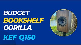 KEF Q150 Speakers Budget Bookshelf Gorilla [upl. by Eille]