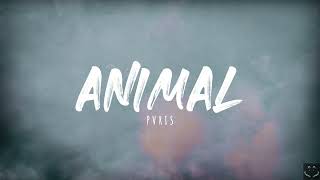 PVRIS  ANIMAL Lyrics [upl. by Myron]