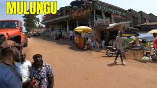 MULUNGU LANDING SITE A FRESH FRIED FISH MARKET IN MUNYONYO KAMPALA UGANDA [upl. by Anesor]