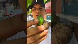 Frutas raras del Ecuador almendron almendron frutas ecuador🇪🇨 [upl. by Aihsitan]