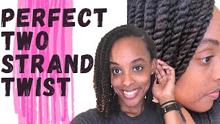 HOW TO TWO STRAND TWIST NATURAL HAIR Beginner Friendly  Kia Rene [upl. by Judye]