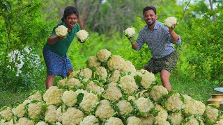 Gobi Manchurian Recipe  Cauliflower 65 Recipe  Village cooking [upl. by Amaral]